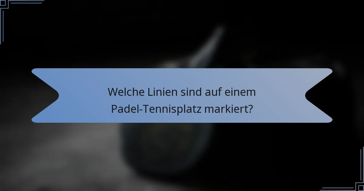 Welche Linien sind auf einem Padel-Tennisplatz markiert?